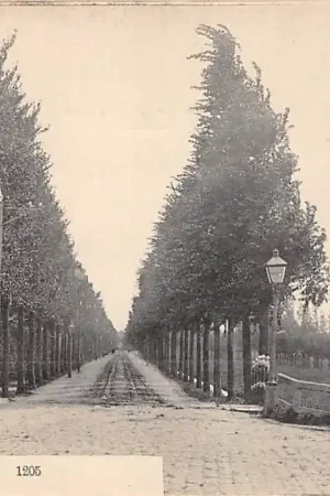 Darmowa dostawa Sliedrecht Stationsweg 1900 Nauta 1205 HC36988