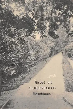 Sliedrecht Boschlaan Groet uit 1915 Nauta 6811 HC36873 Kup teraz