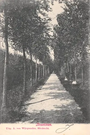 Sliedrecht Boschlaan 1904 HC36581 Najlepsza cena