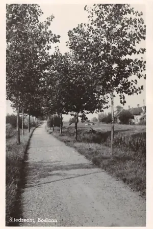 Sliedrecht Boslaan 1949 HC36578 Najlepsza cena