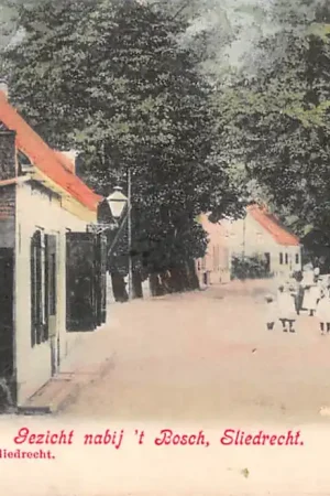 Sliedrecht Gezicht nabij 't Bosch 1904 HC36550 Kup teraz