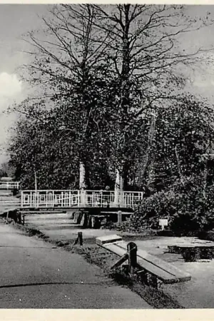 Boskoop Biezen 1932 HC36324 Wysoka jakość