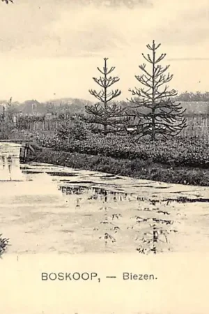 Bezpieczna płatność Boskoop Biezen 19098 Type Nauta 4534 HC36319