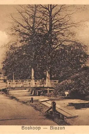 Wyprzedaż Boskoop Biezen HC36311