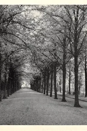 Warmond Theologicum Oprij-laan Teylingen HC34627 Premium