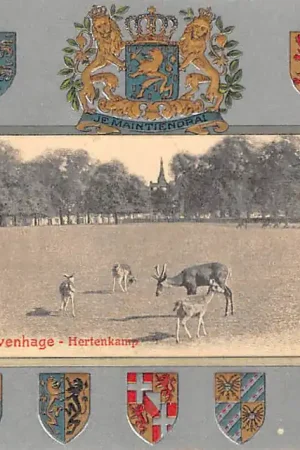's-Gravenhage Hertenkamp 1911 Reliëfkaart met ingedrukte wapens en monumenten HC32782 Oryginalny