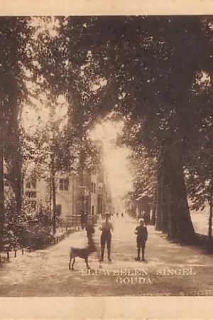 Gouda Fluweelensingel met Stoomwasserij De Zon 1925 HC31036 Ostatnia szansa