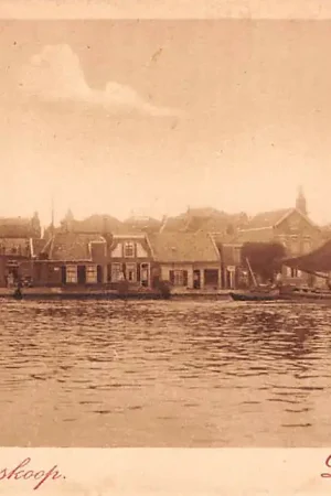 Wysoka jakość Boskoop De Gouwe Nauta A 1573 HC30682