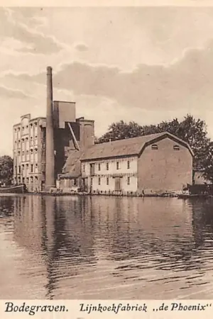 Bodegraven Lijnkoekfabriek de Phoenix 1930 HC29654 Zwrot pieniędzy