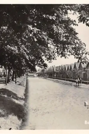 Bodegraven Emmakade1957 HC29008 Ostatnia szansa