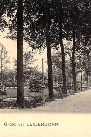 Darmowa dostawa Leiderdorp 1900 Nauta 4922 HC29110