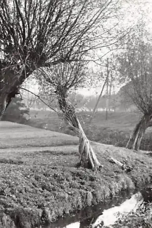 Zo was Dordrecht Oudedijk tegenover Crabbehof omstreeks 1930 (1964) HC26790 Ekspresowa dostawa