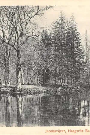 's-Gravenhage Jocobavijver Haagsche Bosch 1904 HC24847 Wysoka jakość