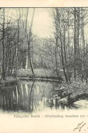 's-Gravenhage Haagsche Bosch Verbinding tusschen 2en Vijver en Jacoba-Vijver 1903 HC22903 Popularny