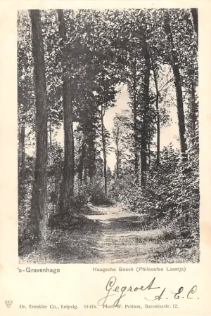 's-Gravenhage Haagsche Bosch Philosofen Laantje HC20984 Oryginalny