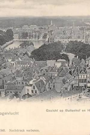 Tani 's-Gravenhage in volgelvlucht Gezicht op Buitenhof en Hofvijver 1903 HC20961