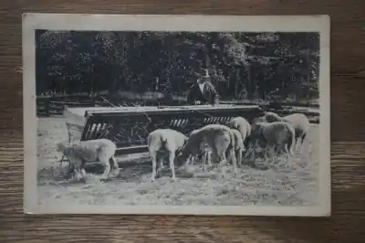 Arnhem Levende have in het museumpark Tani