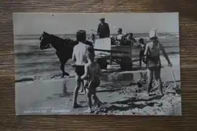 Egmond aan Zee Strand tax Tylko dziś
