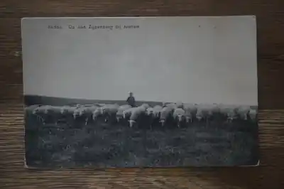 Arnhem Op den Zijpenberg Niska cena