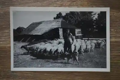 Nieuw-Milligen Rabbit Hill Oferta