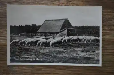 Ede Schaapskooi op Ginkel Oferta