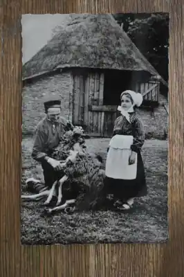 Ede Schapenscheerder op de Ginkelse heide Niska cena