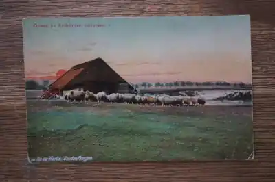 Arnhem Op de Heide Goede morgen Oferta