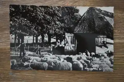 Zwrot pieniędzy Ede Schaapskooi