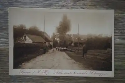 Laren Stalvaarts keerende schaapjes Oryginalny