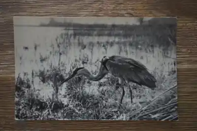 Zamów teraz Chaam Recreatiecentrum de Flaasbloem