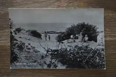 Kamperland In de duinen Niska cena