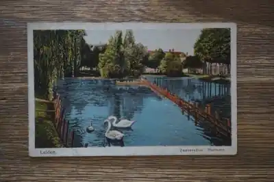 Wysoka jakość Leiden Zwanenvijver Plantsoen