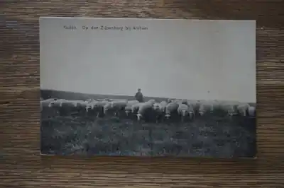 Premium Arnhem Kudde op den Zijpenberg