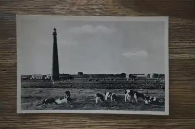 Den Helder Vuurtoren Zwrot pieniędzy