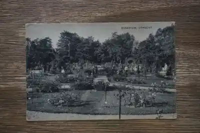 Utrecht Rosarium Premium