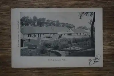 Rilland Boerderij Engelsche polder Autentyczny