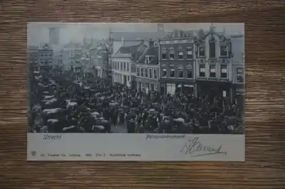 Darmowa dostawa Utrecht Palmpaardenmarkt