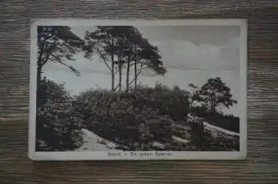 Soest De zeven sparren Tani