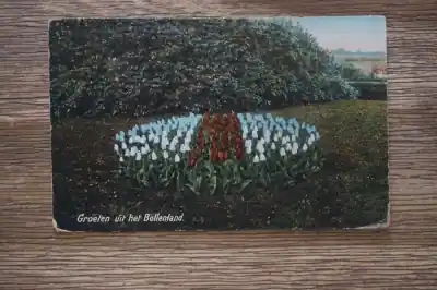 Groeten uit het Bollenland Niska cena