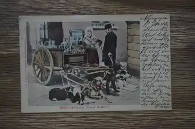 Brabant Melk verkoopster Nowość