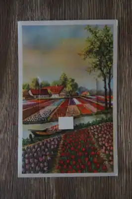 Kup teraz Tulpen velden