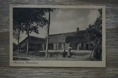 Brabant Dorpsleven Nowość