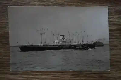 Tani New York Harbor