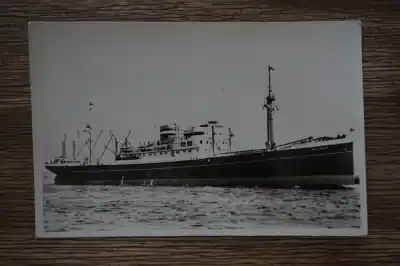 Oryginalny Holland Amerika lijn s.s. Dalerdijk