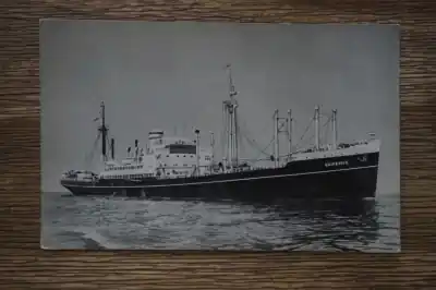 Holland America lijn Duivendijk Wysoka jakość