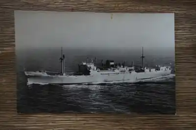 Holland America lijn Noordam Ekspresowa dostawa