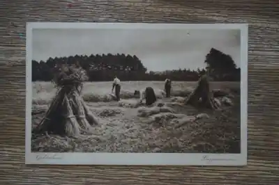 Gelderland Roggemaaien Oferta