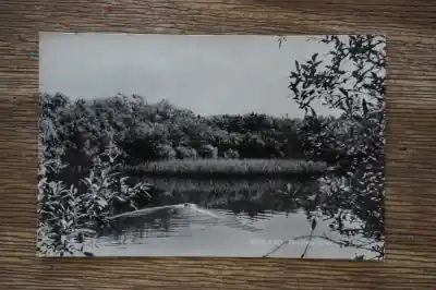 Oferta Vlieland Goudvisvijver