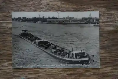 Oryginalny T. L. Brittannia