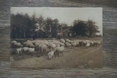 Laren Langs St Jan Gooiland Premium